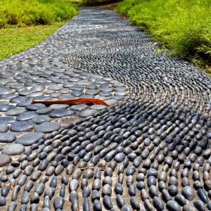 Reflexology Track